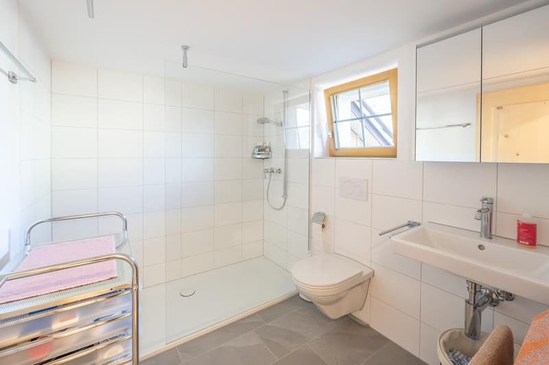 WC/Dusche/Lavabo
