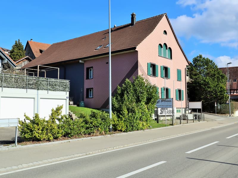 Einfamilienhaus mit Werkstatt vor den Toren von Frauenfeld (2)