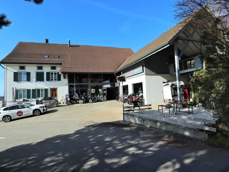 Einfamilienhaus mit Werkstatt vor den Toren von Frauenfeld (1)