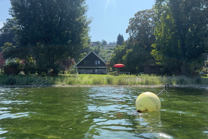 Grosses Seegrundstück mit eigener Boje | homegate.ch