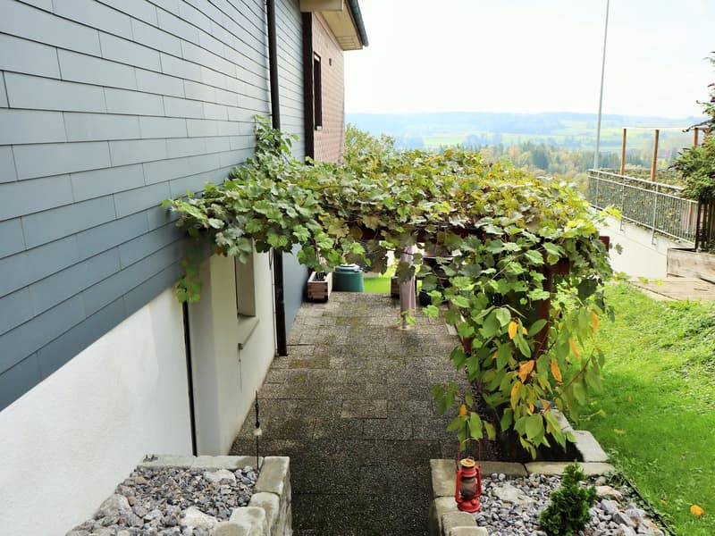 Einseitig angebautes Einfamilienhaus (6)