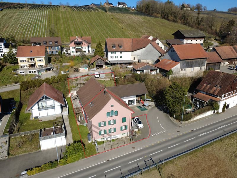 Einseitig angebautes Einfamilienhaus (2)