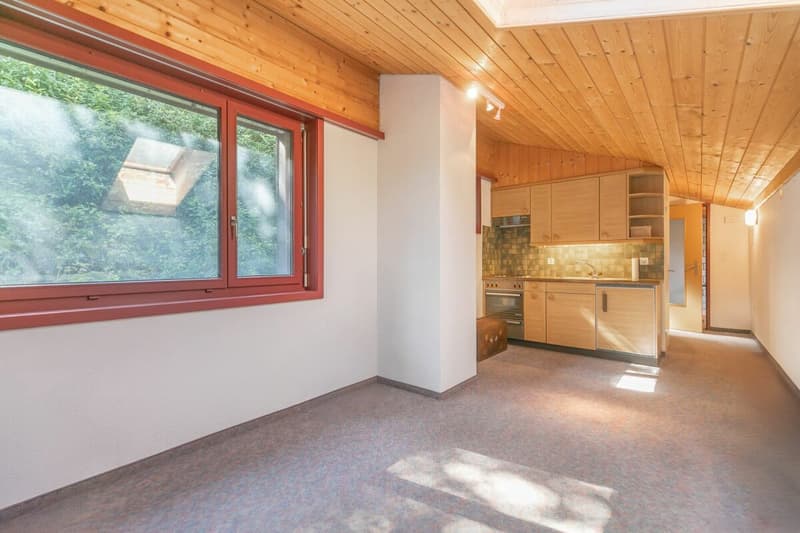 Propriété commerciale avec appartement studio (10)