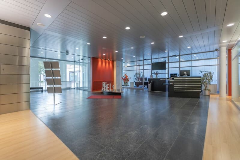 Gewerbeflächen im Zentrum von Glarus (6)