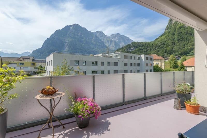 Moderne 4.5-Zi-Wohnung in familiärem Wohnquartier (4)