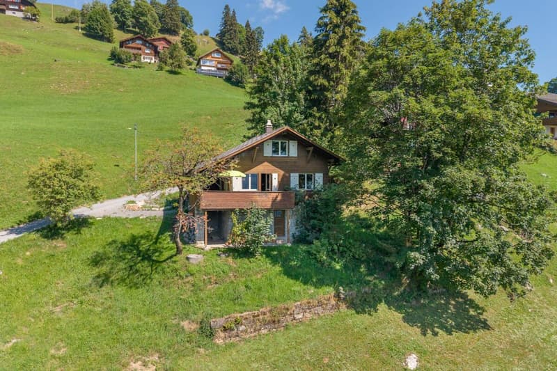 Chalet Wieserai (1)