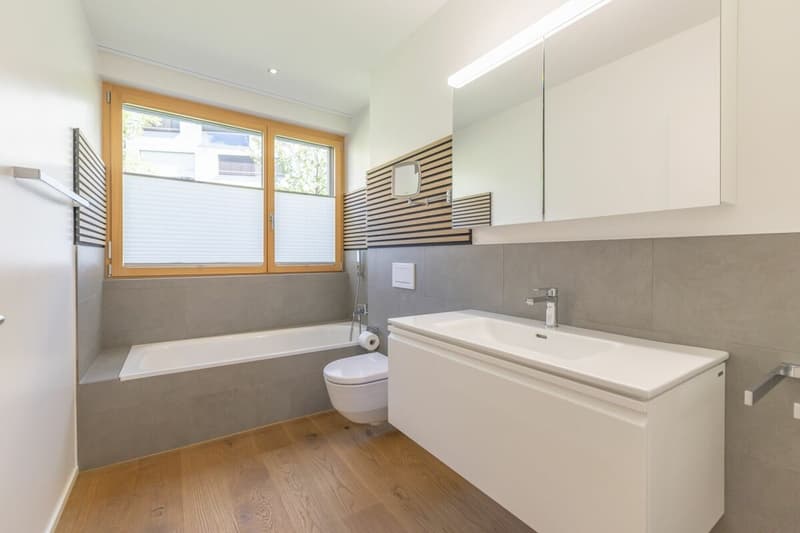 4.5-Zi-Wohnung mit unverbaubarer Weitsicht (10)