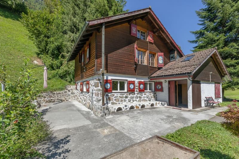 4.5-Zi-Ferienhaus in sonniger Naturlage (8)