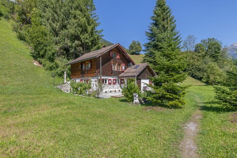 4.5-Zi-Ferienhaus in sonniger Naturlage (11)