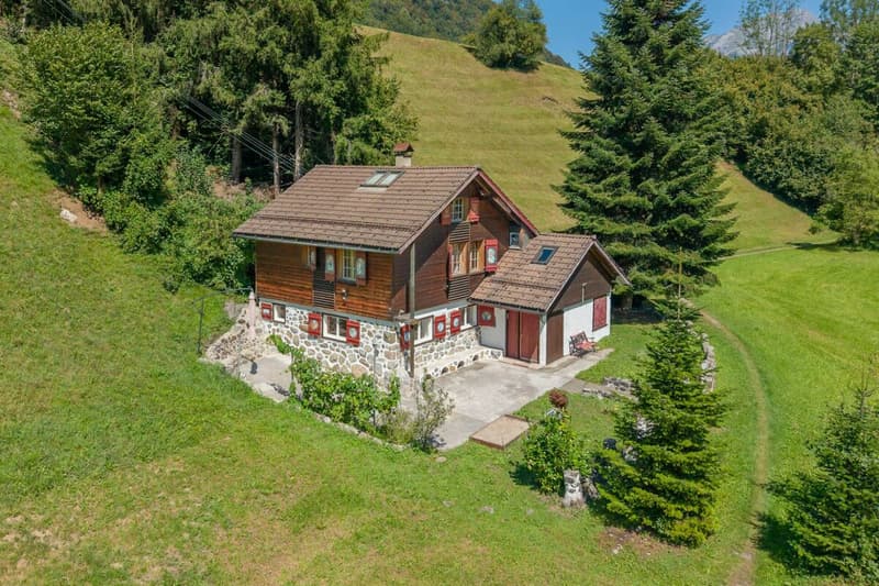 4.5-Zi-Ferienhaus in sonniger Naturlage (1)