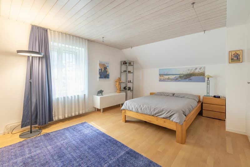 7.5-Zi-Einfamilienhaus mit Einliegerwohnung und Garten (8)