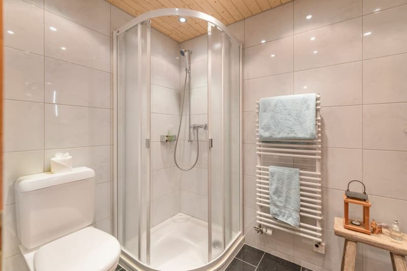 2.5-Zi-Ferienwohnung im Arvenbüel (8)