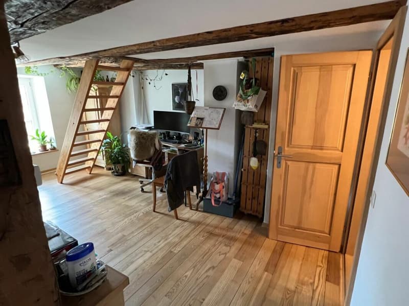 Einzigartiges Mehrfamilienhaus - ideal als Investment oder für Familien (6)