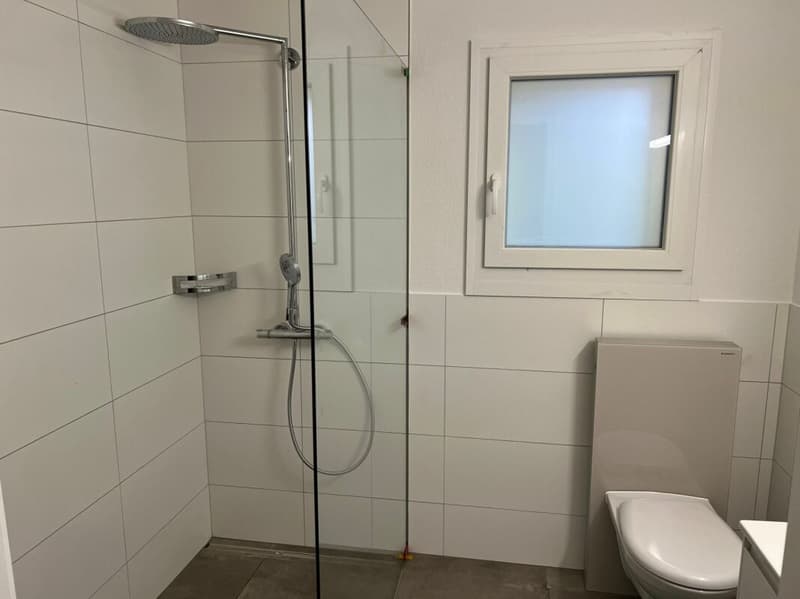 Modernes 2.5-Zimmer-Apartment - Ideal für Seniorenresidenz (5)