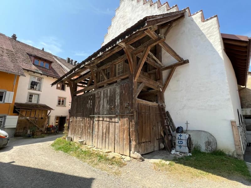 Wohnen & Vermieten im Grünen - 3-Familienhaus mit Charme (11)