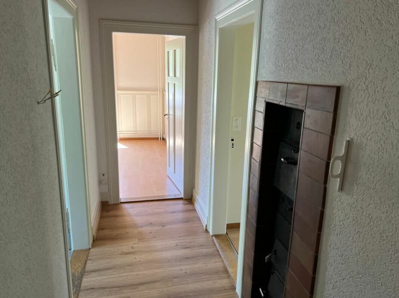 Paradies für Hobbygärtner - charmante 3.5-Zimmer-Wohnung an Top-Lage (11)