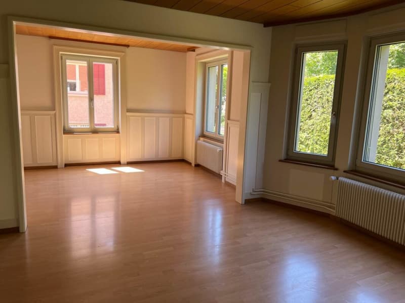 Paradies für Hobbygärtner - charmante 3.5-Zimmer-Wohnung an Top-Lage (3)