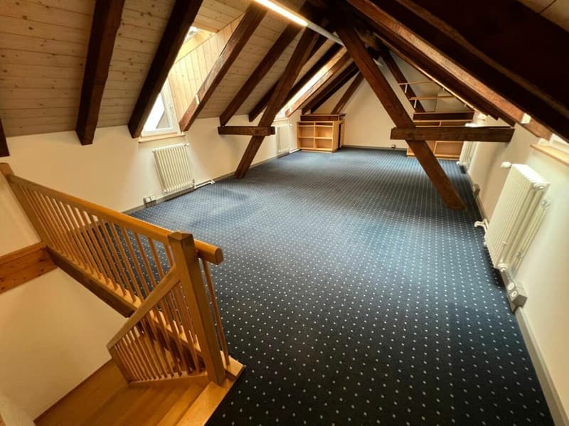 Vielseitiges Büro/Praxis/Atelier in mitten der Schaffhauser Altstadt (3)