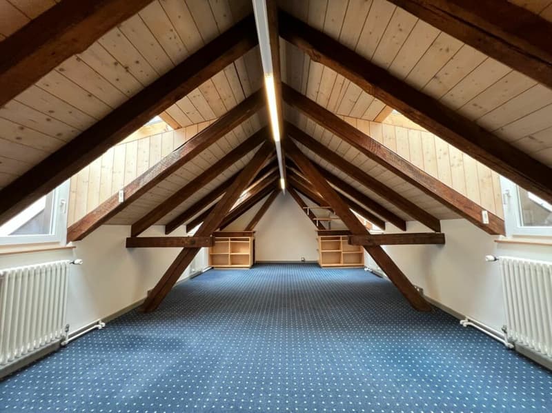 Vielseitiges Büro/Praxis/Atelier in mitten der Schaffhauser Altstadt (1)