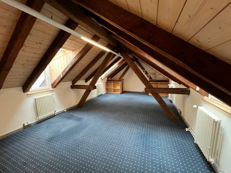 Vielseitiges Büro/Praxis/Atelier in mitten der Schaffhauser Altstadt (4)