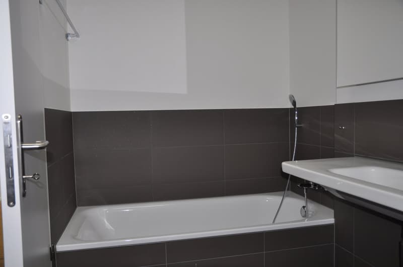 Helle 4.5-Zimmer-Dachwohnung (9)