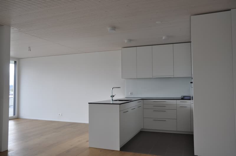 Helle 4.5-Zimmer-Dachwohnung (3)