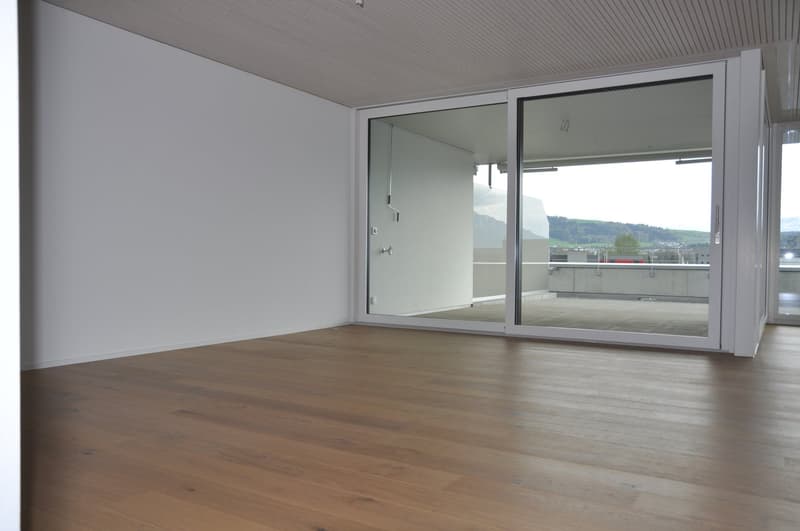 Helle 4.5-Zimmer-Dachwohnung (5)