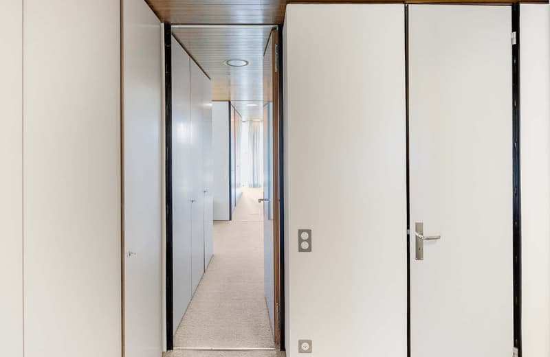 Empty hallway, carpeted, white walls, white doors, light coming from the end
