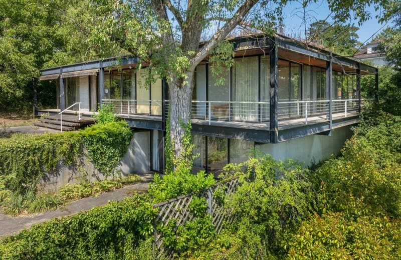 modern style raised house, steel structure, glass walls, balcony, concrete foundation