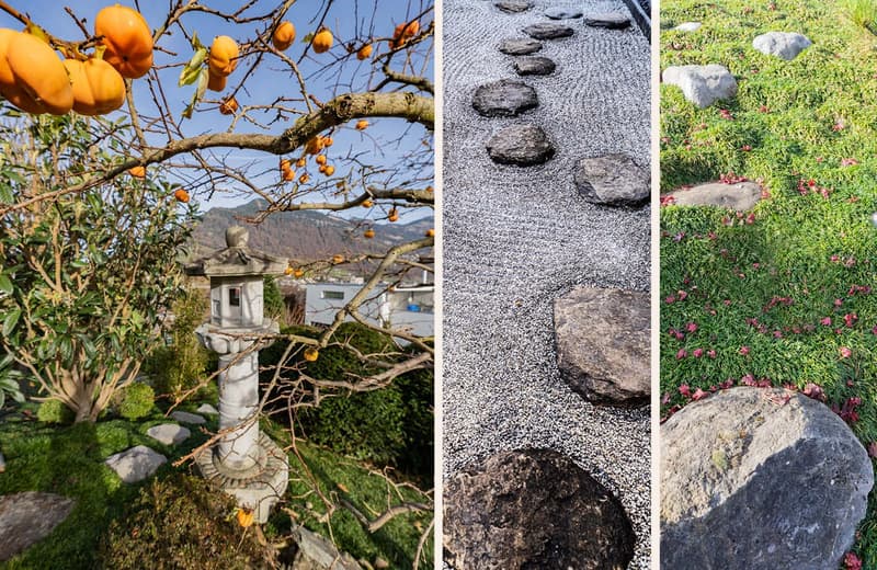 Garden with trees, fruits, rocks, small pathway, grass