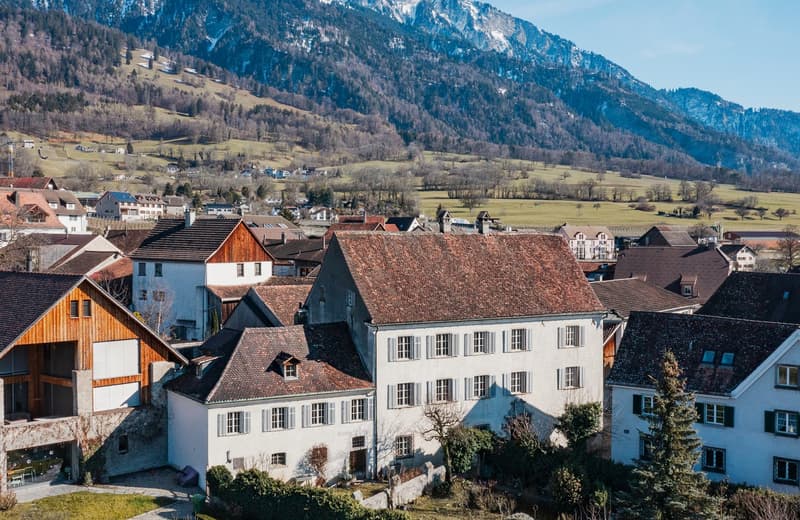 Various houses with different roofs, some with balconies, surrounded by greenery and mountains