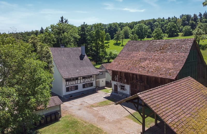 «RESERVIERT» - Aussergewöhnliches historisches Ensemble mit viel Potenzial (8)