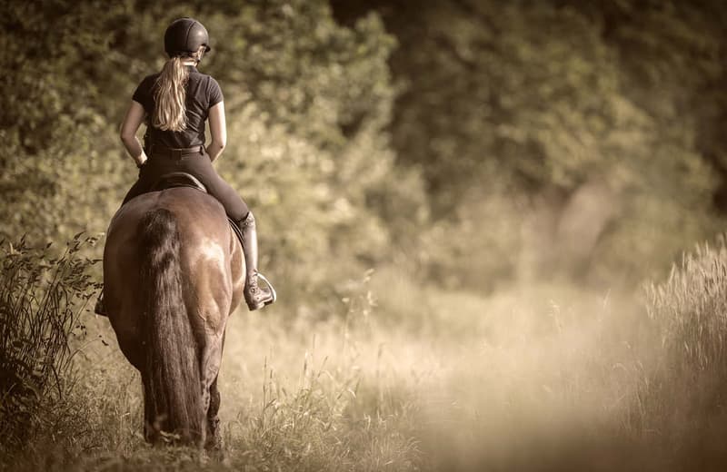 A person riding a horse in a grassy, wooded area. The person is wearing a helmet and dark clothing, and the horse is a light-colored breed. The scene has a vintage, sepia-toned appearance.