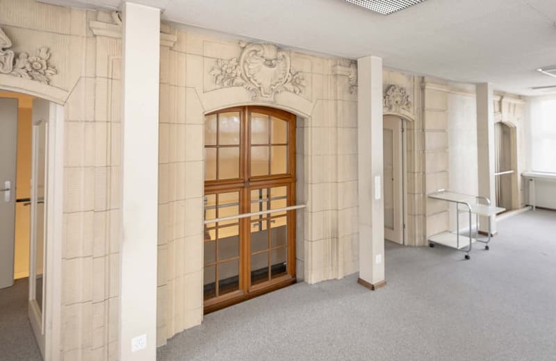 Villa/stabile storico in stile neobarocco in una posizione esclusiva a Gellert (10)