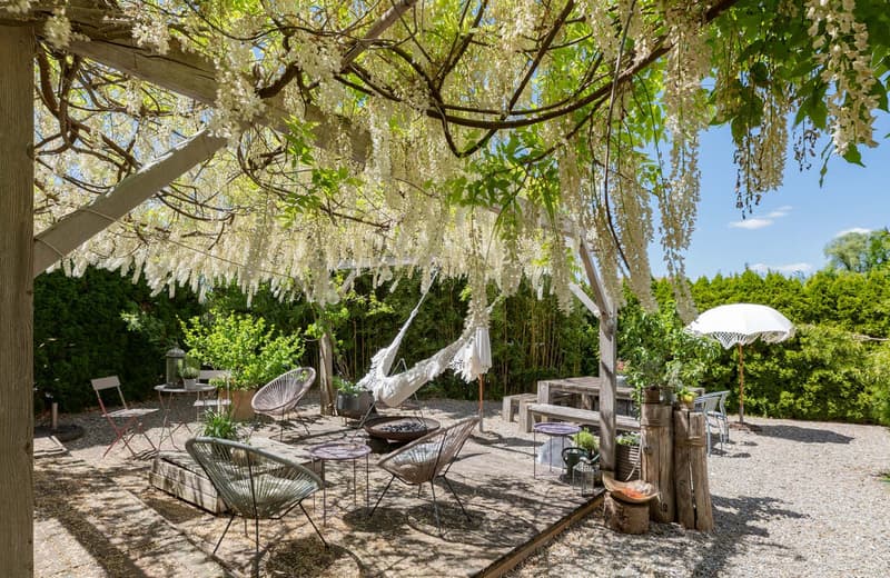 Lush, shaded outdoor patio area with hanging wisteria flowers, wooden benches and chairs, and a cozy, rustic atmosphere.