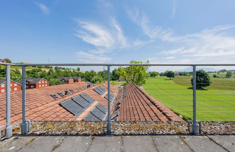 The image shows a rooftop view overlooking a rural landscape. The rooftops of several red-tiled buildings can be seen in the foreground, with a grassy field and trees visible in the distance. The sky is blue with wispy clouds. The view suggests a peaceful