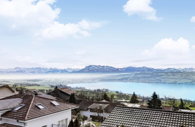 Villa de luxe neuve dans l'une des 3 communes les plus avantageuses sur le plan fiscal de Lucerne (9)
