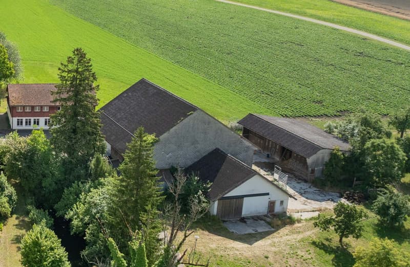 Multiple barns with gable roofs, situated amidst large fields, green grass, trees and pathways