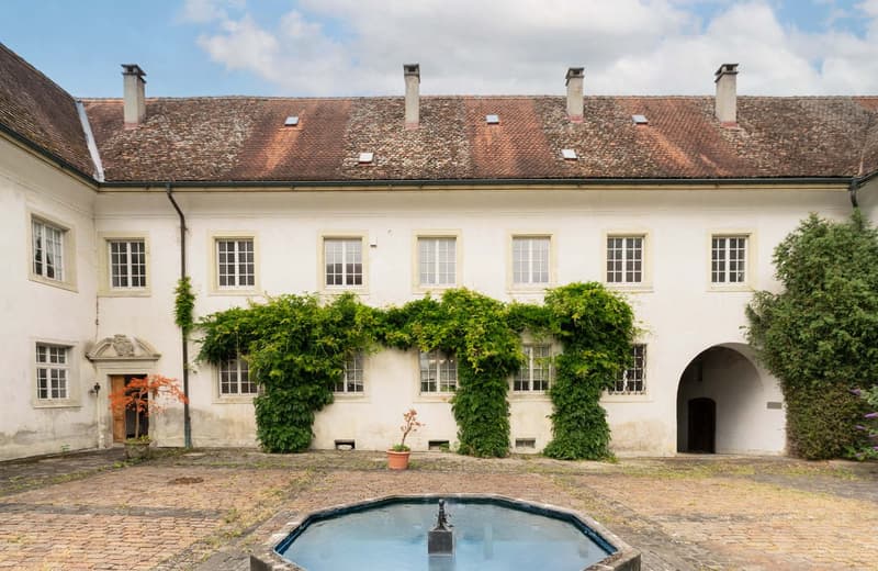 Cobblestone courtyard, fountain, white walls, arched entrance, multiple windows, brown roof, plants growing on walls