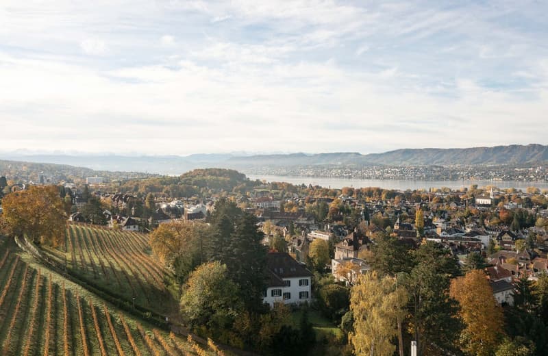 Aerial view of a town with vineyards, mountains, and a lake in the background