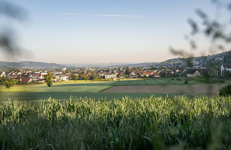 Scenic rural landscape with rolling hills, green fields, and a small town in the distance. The foreground is dominated by a lush, grassy field with tall grass and vegetation. In the background, there are buildings, trees, and hills, creating a picturesque