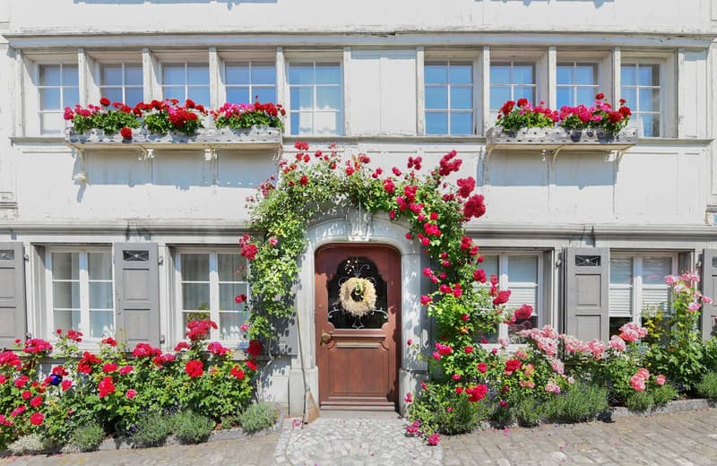 white house, wooden door, red flowers, window boxes, cobblestone path