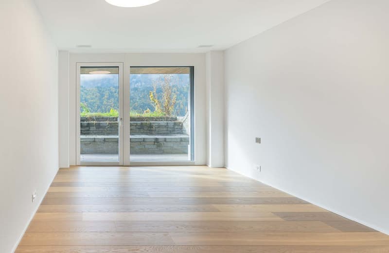 empty hallway, white walls, glass sliding doors with view, parquet flooring