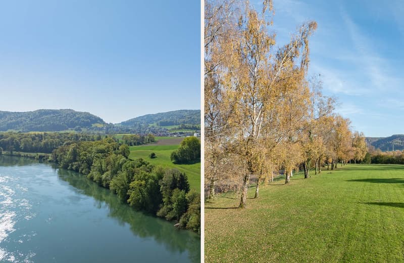 Ein Anwesen von seltener Exklusivität am Hochrhein (9)