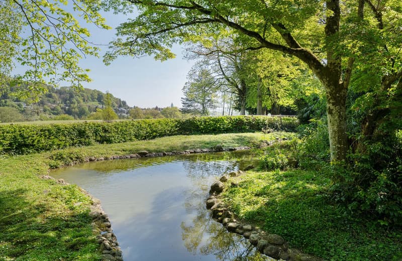Ein Anwesen von seltener Exklusivität am Hochrhein (7)
