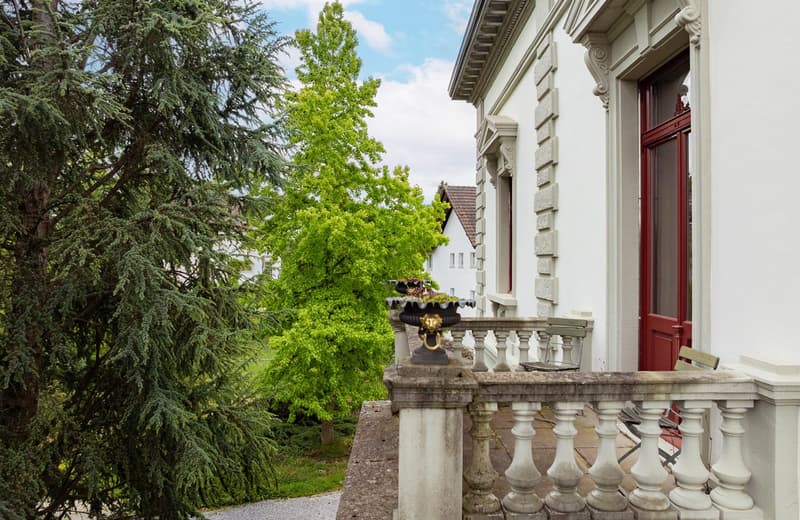 Historische Villa mit vielseitigen Nutzungsmöglichkeiten (6)