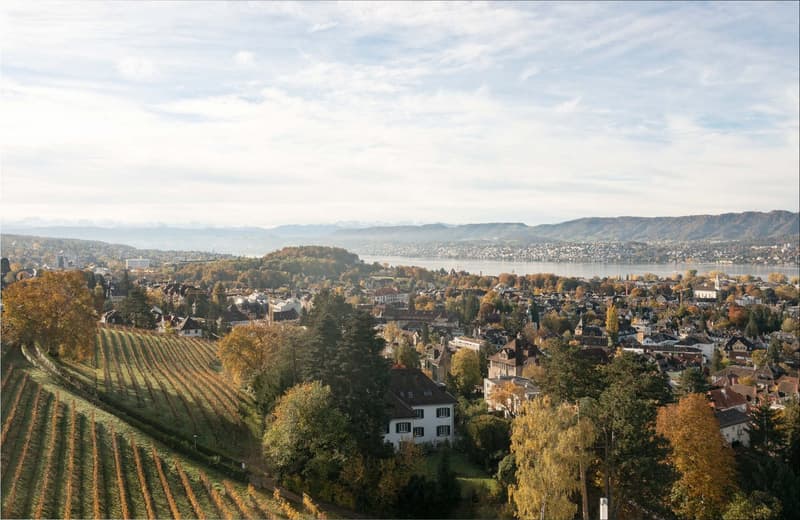 Privates Refugium in bester Lage am Zürichberg – auf Anfrage (2)