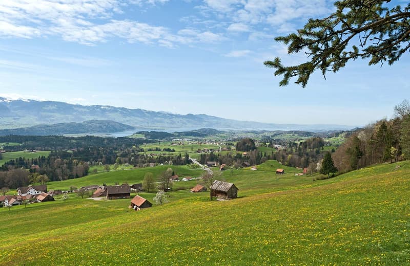 Exklusive Gartenwohnung mit hochwertigem Innenausbau (12)