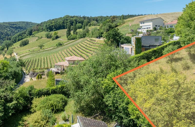Grund Genug – exklusives Baugrundstück mit Weitsicht in Thayngen (4)