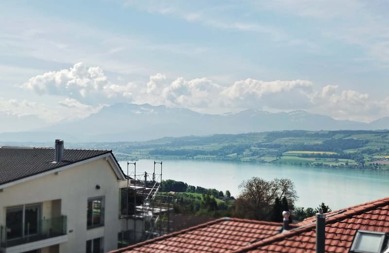 4.5-Zimmer Luxus - Maisonettewohnung mit grosszügiger Terrasse in Eich LU (7)